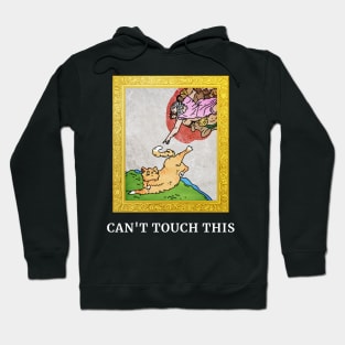 Can't touch this Hoodie